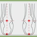 레푸스 상도점 이미지