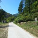 다목2리 이미지