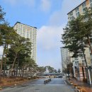 도안 휴먼시아10단지 이미지