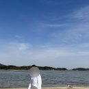해솔다방