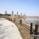 세종호수공원 야간 산책로 이미지