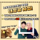 성현 태양광발전소 이미지