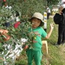 송죽농장2 이미지