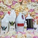 매직 펫 살롱 이미지