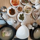 초시골약수삼계탕