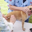 뉴타운동물병원 이미지