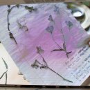 고상정미소 이미지