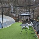 화이트팬션 이미지