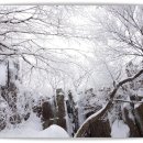 ♣12/28(토) 광주 무등산 서석대 아름다운 눈꽃 산행 이미지