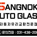 상록차유리