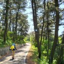 푸른언덕민박 이미지