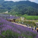 명재농장 이미지