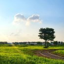 학현농장 | 취사 가능한 경기도 평택 진위천유원지 수변쉼터에서 캠크닉, 레일바이크 가격과 운영시간