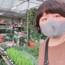 태리로제떡뽁이