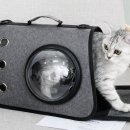 반려켄넬 이미지