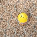 삐약이농장 이미지