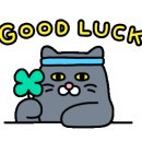 리앤엠