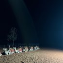 진격농장 | [호주] 지구의 배꼽 호주의 중심 울루루(율라라) 에어즈락 여행 :: 3. 3일차 후기 (feat. 앨라호주)