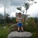 봉평중학교 이미지