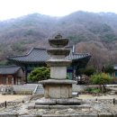 사나사 - 1160 | 사나사