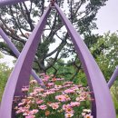 '서울국제정원박람회' 이미지