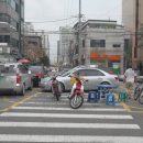 주정차-17 이미지