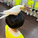화성2 삼성어린이집