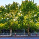 캠프아이엔지 이미지