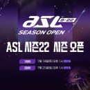 형제전기비디오