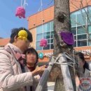 동부(서산시)건강생활지원센터 | [충청대세뉴스] 서산시동부건강생활지원센터 뇌튼튼예방교실“ 트리니팅”성료