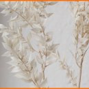 자연부화장 이미지