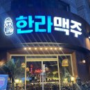 한라맥주원주단계점 | [원주] 단계동 호프집 맥주 하이볼, '한라맥주'