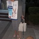 청수동물병원 이미지