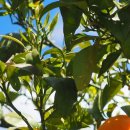 전인병원 이미지