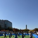 펫츠런 애견 이미지