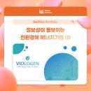 로젠비어 - 화순군 대교로 125 | 부산 PPT 회사 | 친환경 에너지 기업 IR PPT(영문 PPT): IR자료를 깔끔하고 정보성이 돋보이게 하는 방법