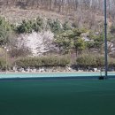 산본IC 체육공원 이미지