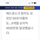 남강팜 | 알파남 애드센스팜 무료강의 후기 –
