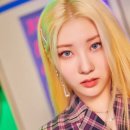 퍼플키스 티스토리
