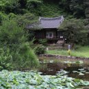 상리길(풍산읍) 이미지