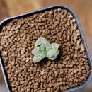 대옥농장 이미지