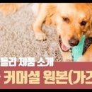 브리스오션 네이버블로그