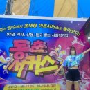 대부도 동춘서커스 안산가볼만 한 곳 으로 추천해요