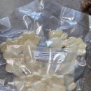 멍멍바개뜨 이미지