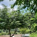 청아농장 이미지