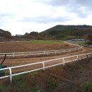 이안목장 이미지