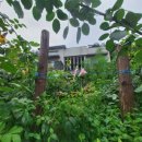 곰배령 팜스테이 이미지