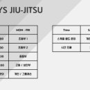 와이즈주짓수