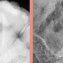 CW-2095-01 이미지