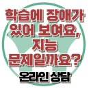 [온라인상담: 학습에 장애가 있어 보여요. 지능 문제일까요?] 한국아동청소년심리상담센터 이미지